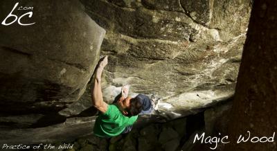 Ilari working on "Practice of the Wild"